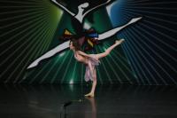 _MG_7347.JPG